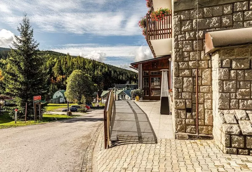 Fotos del hotel Wellness Hotel Windsor:  10