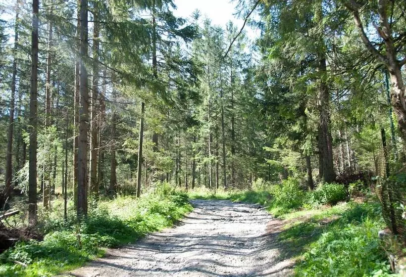 Fotos del hotel Pensjonat Bia?y Potokpolskie Tatry S.a:  8