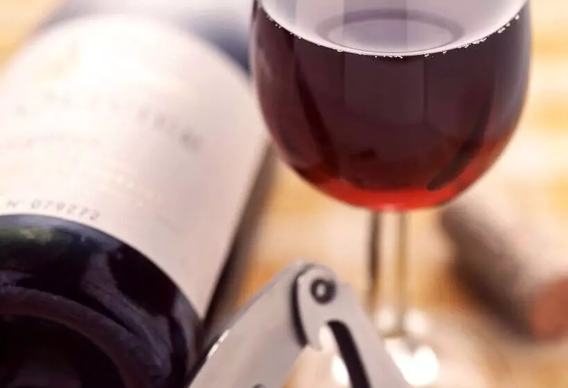 Fotos del hotel Ibis Vienna Airport:  6