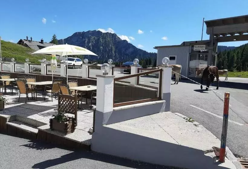 Fotos del hotel Berghof:  10