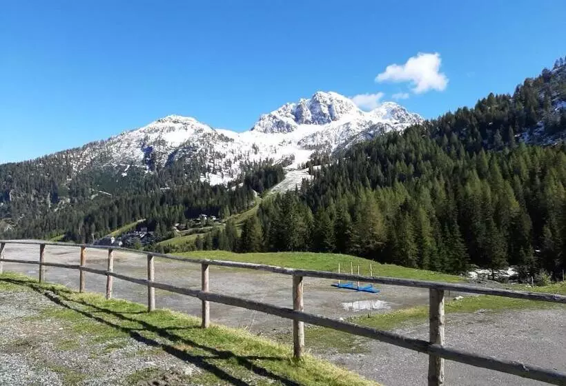 Fotos del hotel Berghof:  11