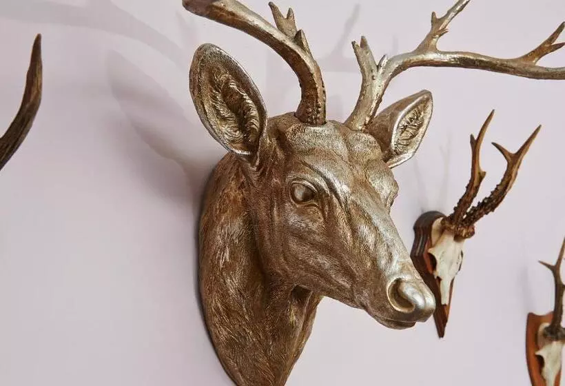 Fotos del hotel Elch:  5