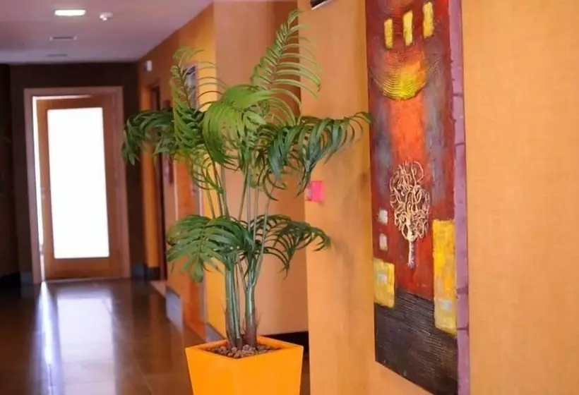 Fotos del hotel Fly:  3