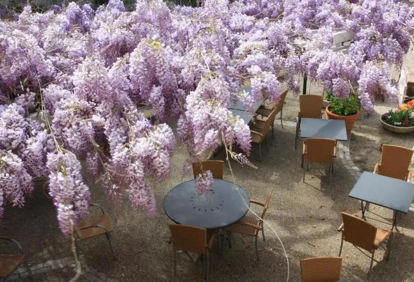 Fotos del hotel Restaurant La Ferme:  17