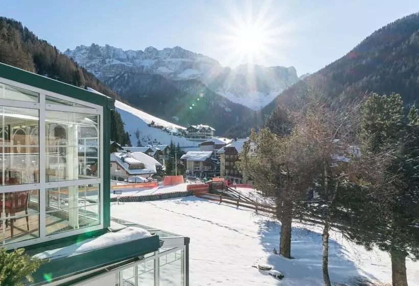 Fotos del hotel Solaia:  5