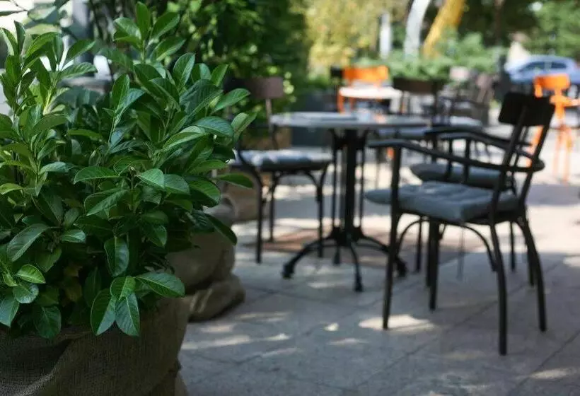 Fotos del hotel Vienna:  6