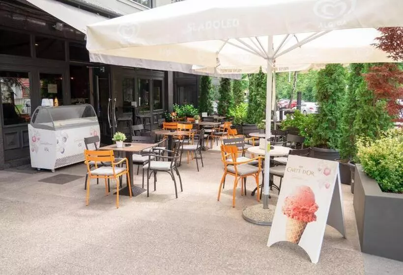 Fotos del hotel Vienna:  17