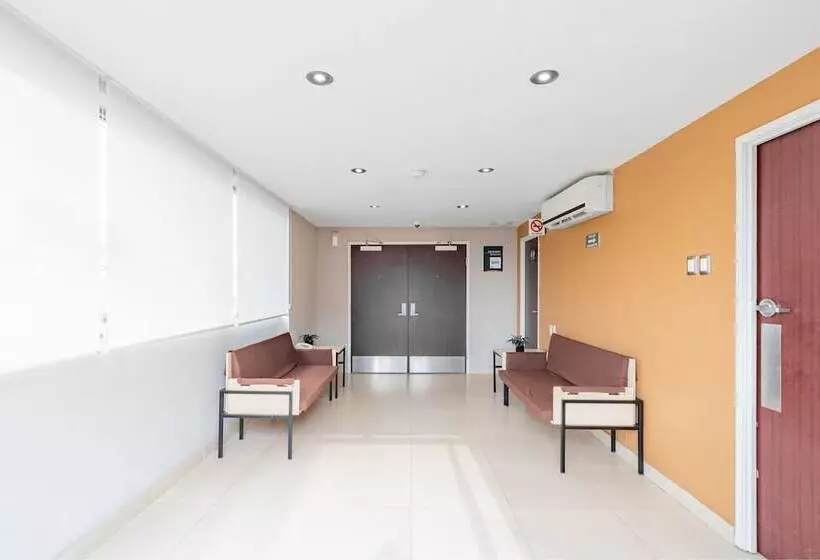 Fotos del hotel City Express Junior Veracruz Aeropuerto:  23