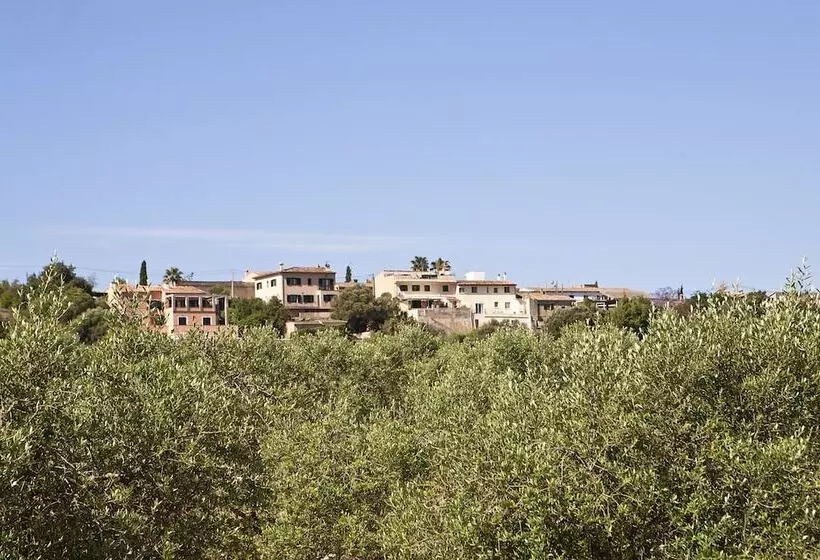 Fotos del hotel Son Caulelles  Adults Only:  5