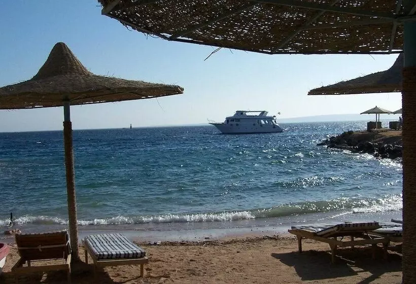 Fotos del hotel Sun & Sea   Hurghada:  13