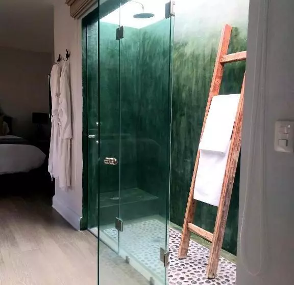 Fotos del hotel Boutique El Palomar:  13