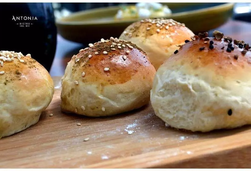 Fotos del hotel Boutique El Palomar:  3