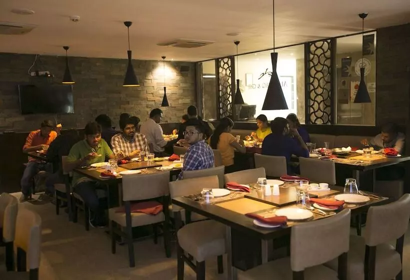 Fotos del hotel The Iris:  20