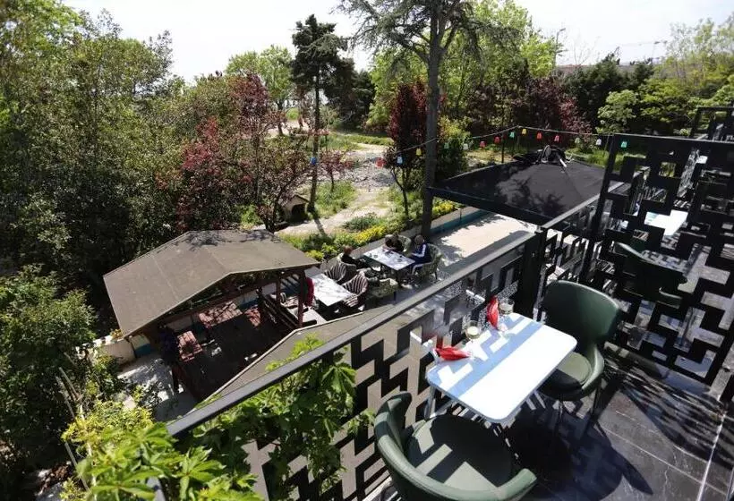 Fotos del hotel Turkuaz Boutique:  24