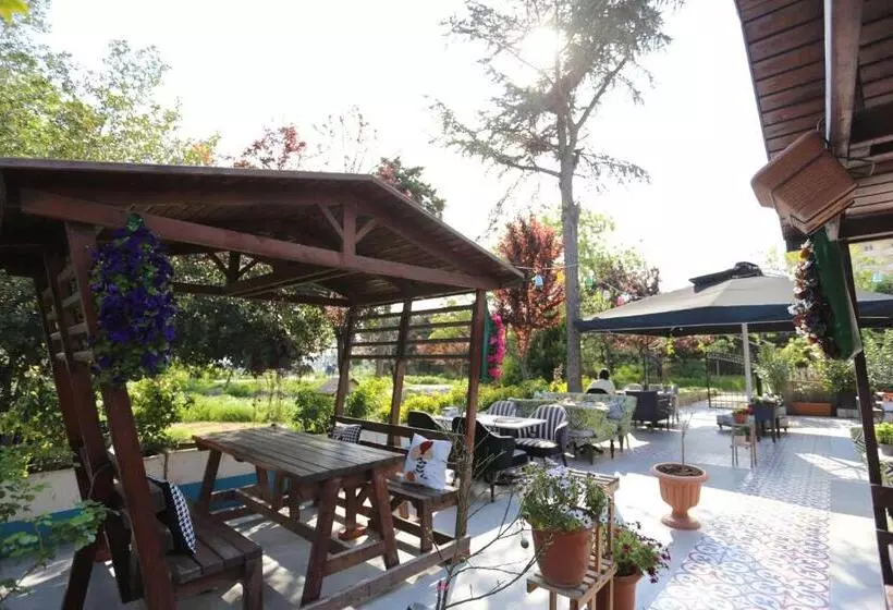 Fotos del hotel Turkuaz Boutique:  21