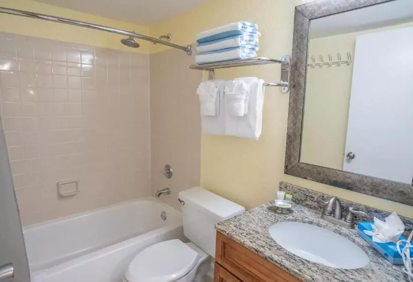 Fotos del hotel Blue Tree Resort At Lake Buena Vista:  13