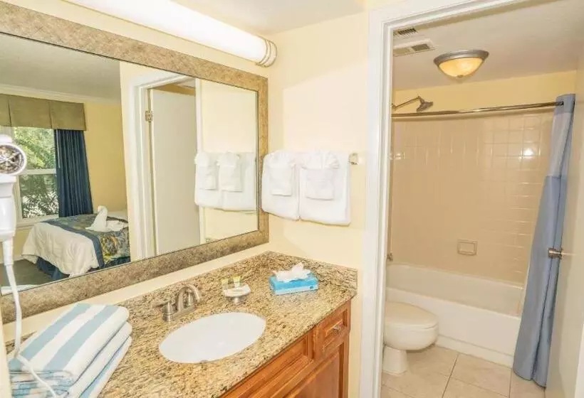 Fotos del hotel Blue Tree Resort At Lake Buena Vista:  7