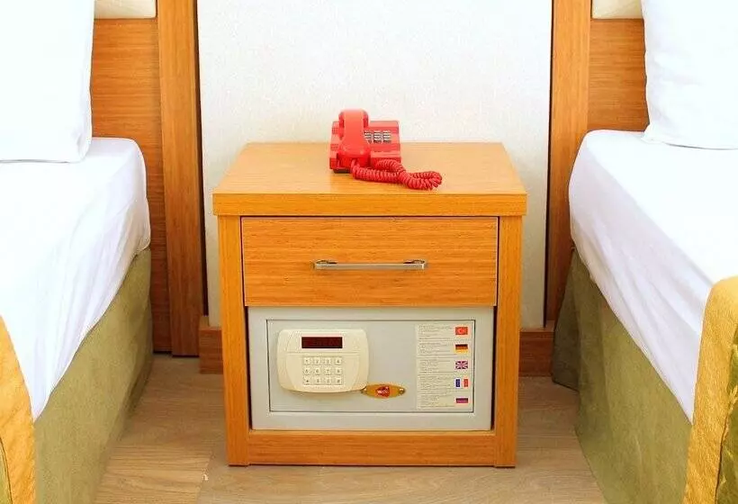 Fotos del hotel Buyuk Paris:  22