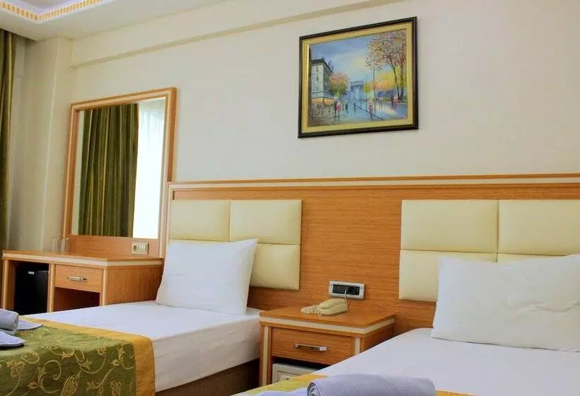 Fotos del hotel Buyuk Paris:  16