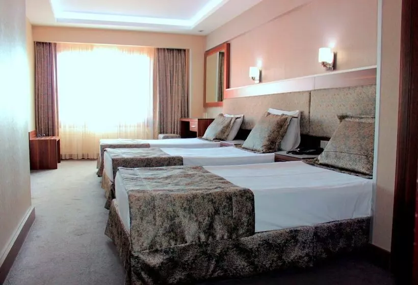 Fotos del hotel Buyuk Paris:  19