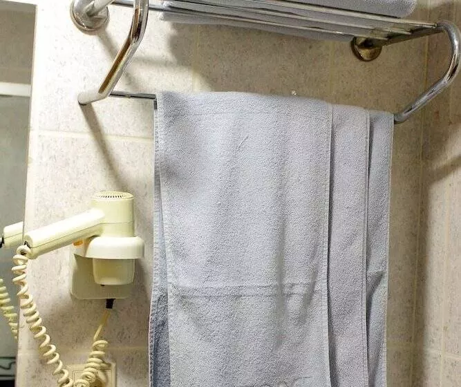 Fotos del hotel Buyuk Paris:  11