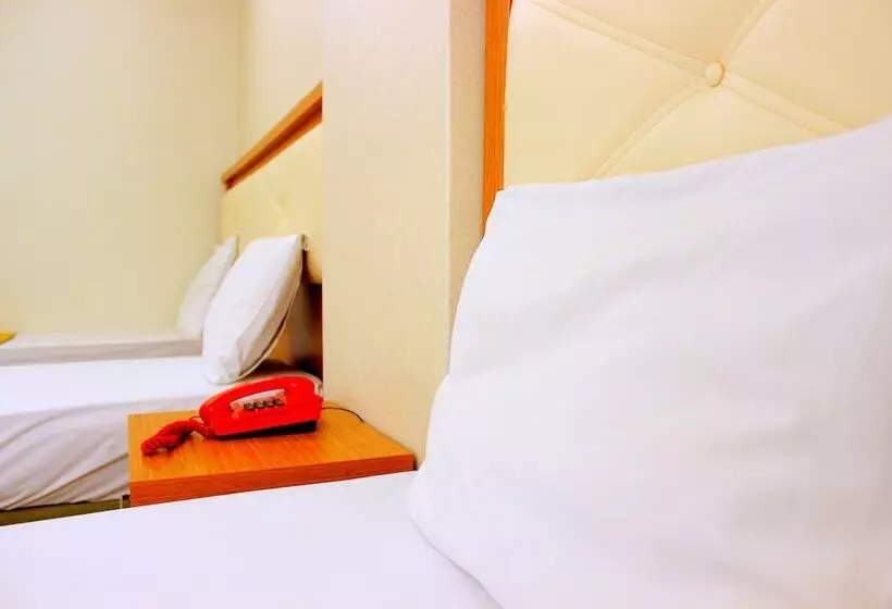 Fotos del hotel Buyuk Paris:  24