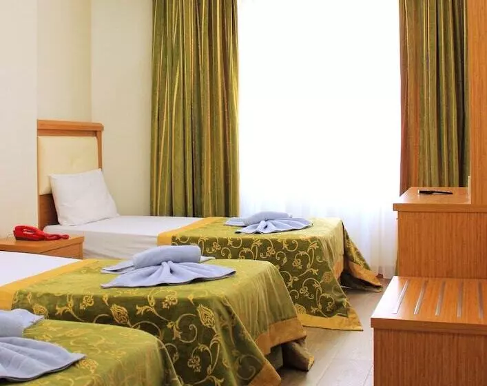 Fotos del hotel Buyuk Paris:  17