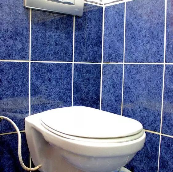 Fotos del hotel Buyuk Paris:  3