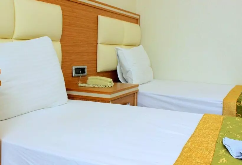 Fotos del hotel Buyuk Paris:  15