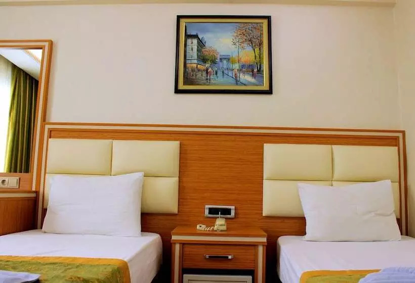 Fotos del hotel Buyuk Paris:  13