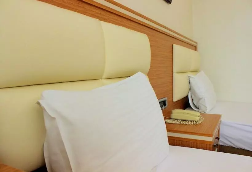 Fotos del hotel Buyuk Paris:  23