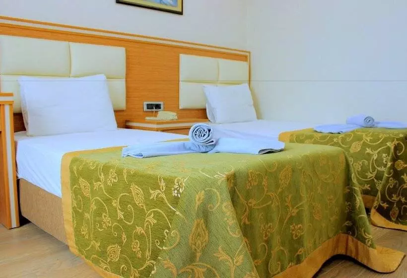 Fotos del hotel Buyuk Paris:  8