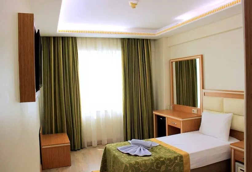 Fotos del hotel Buyuk Paris:  6