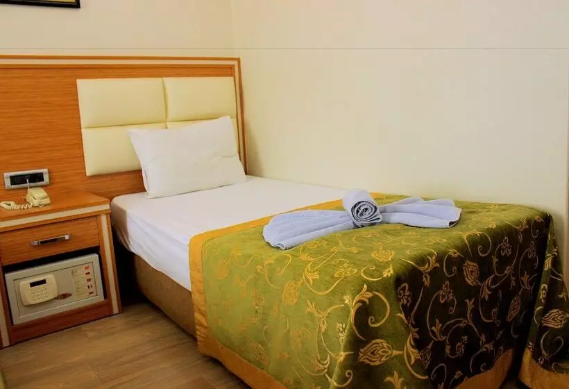 Fotos del hotel Buyuk Paris:  20