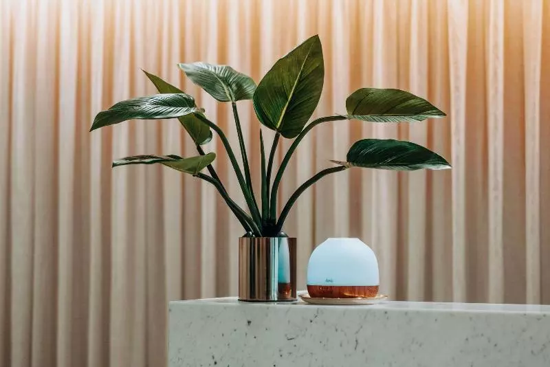 Fotos del hotel Clarion Hotel Townsville:  9