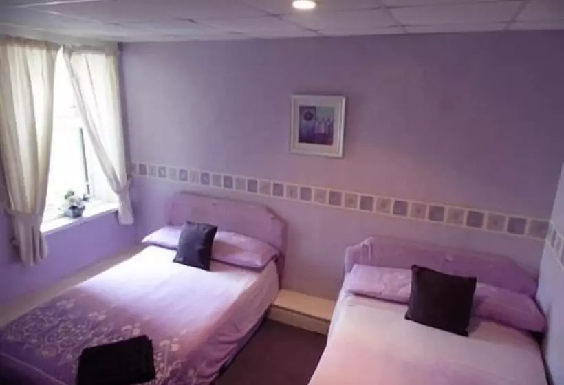 Fotos del hotel Miramar:  10