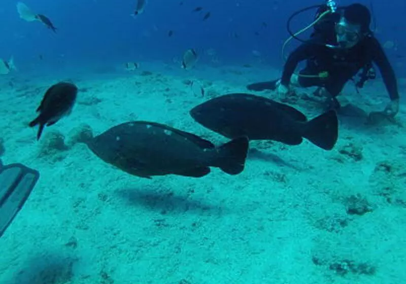 Fotos del hotel Porto Maltese Boutique Estate:  6