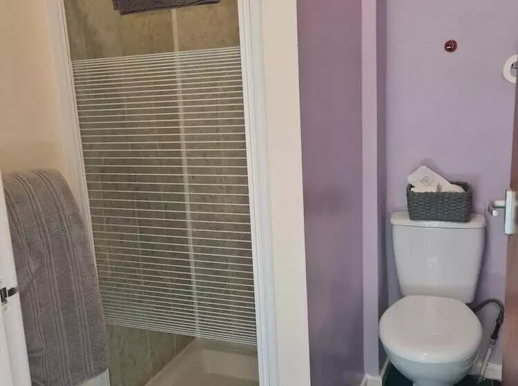 Fotos del hotel The Mercury, Blackpool  Over 21 S Only:  4