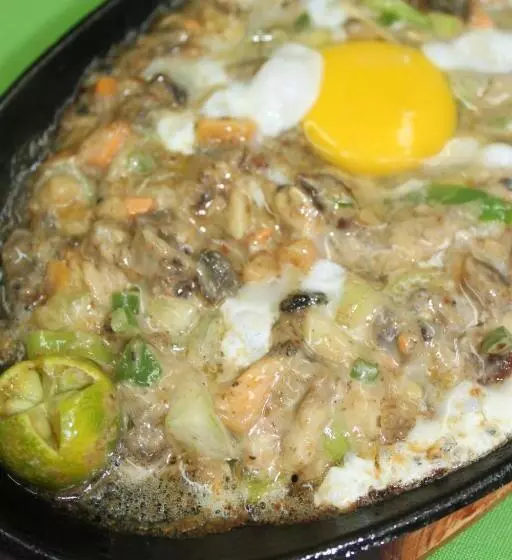 Fotos del hotel Coron Hilltop View Resort:  23