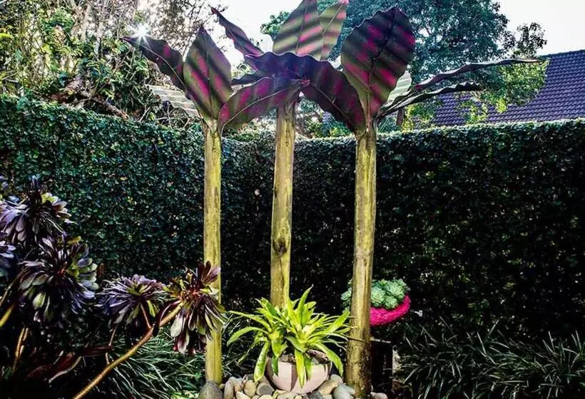 Fotos del hotel City Garden Lodge  Hostel:  5