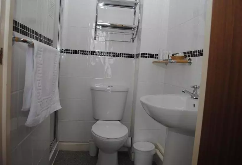 Fotos del hotel The Patricia:  7