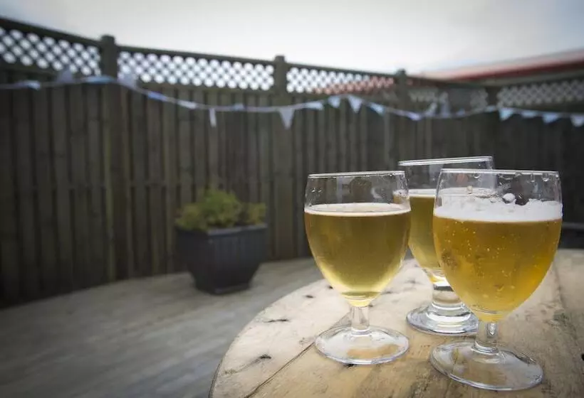 Fotos del hotel Eldey Airport:  5