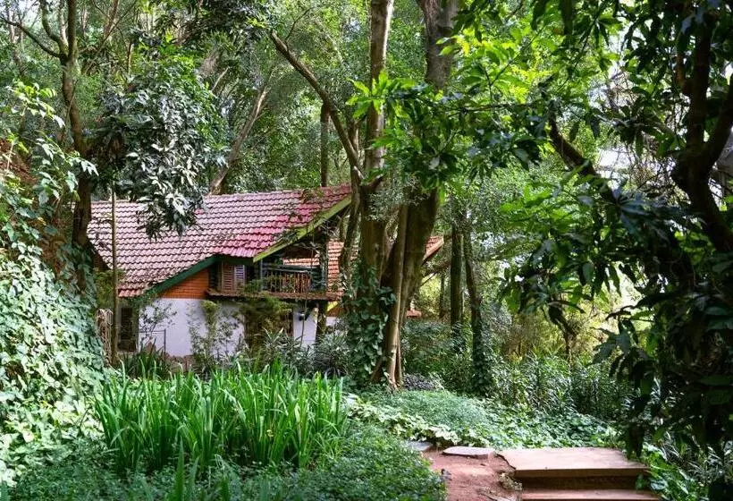 Fotos del hotel Forest Cottages:  23