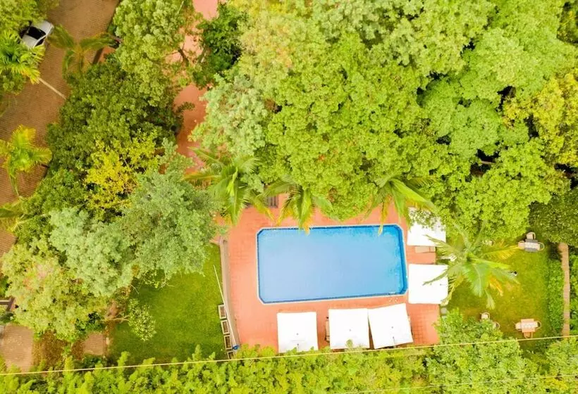 Fotos del hotel Forest Cottages:  3