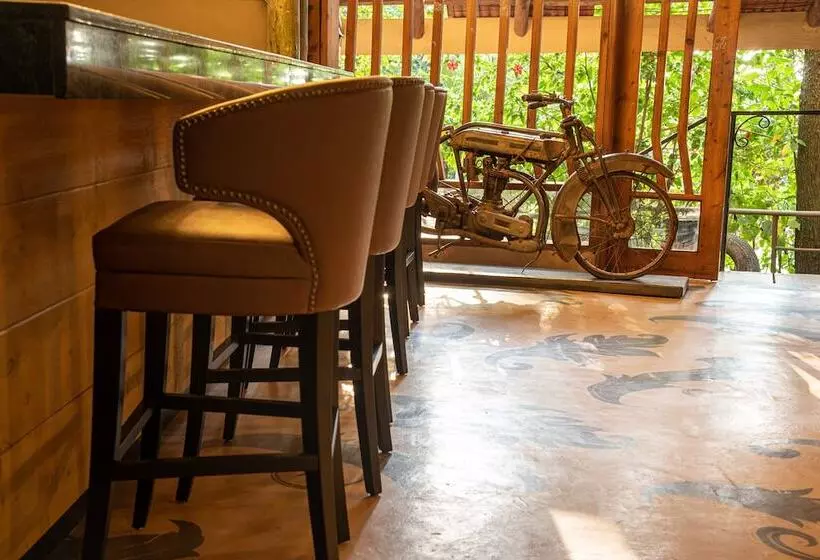 Fotos del hotel Forest Cottages:  11