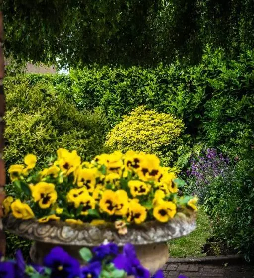 Fotos del hotel The Cottage:  23