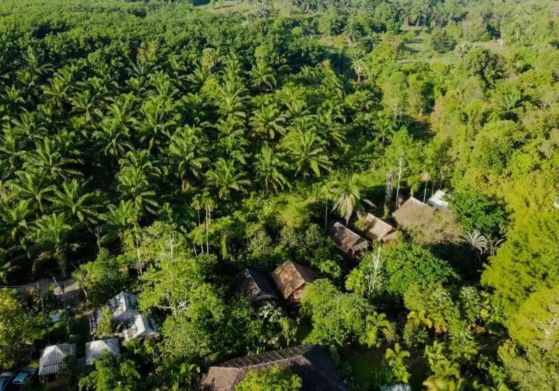 Fotos del hotel Wareerak Hot Spring & Wellness:  6