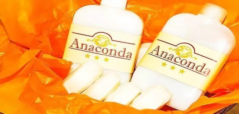 Fotos del hotel Anaconda:  7