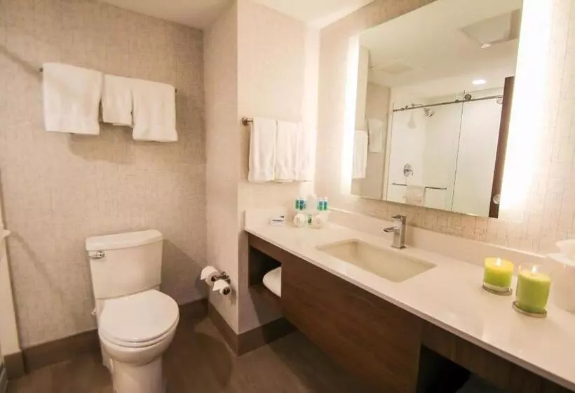Fotos del hotel Holiday Inn Express & Suites Miami Airport East, An Ihg:  10