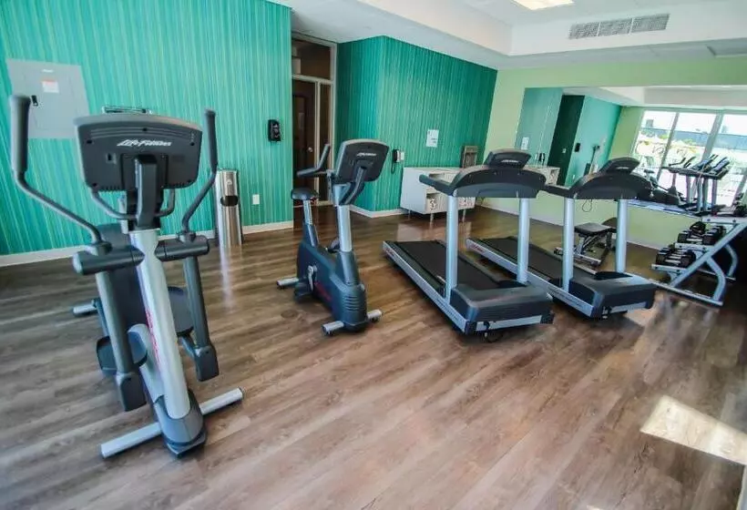 Fotos del hotel Holiday Inn Express & Suites Miami Airport East, An Ihg:  12